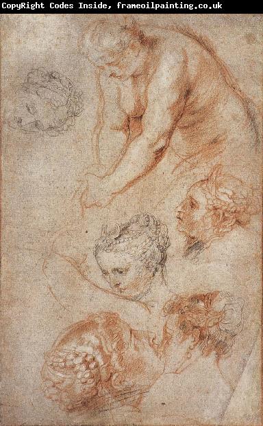 Peter Paul Rubens Woman sketch